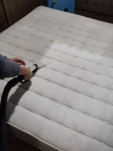 WhatsApp Image 2022-06-23 at 15.19.39 (1)